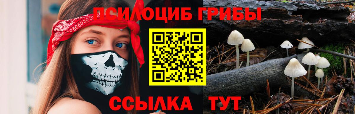 Галлюциногенные грибы мухоморы Верхняя Пышма