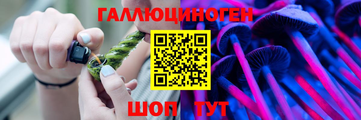 Галлюциногенные грибы Magic Shrooms  купить закладку  Верхняя Пышма  Вход с VPN 